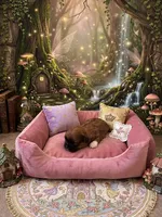 Nala, a female Shih Tzu for sale in Las Vegas, NV – 1 of 4