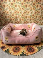 Star, a female Shih Tzu for sale in Las Vegas, NV – 2 of 4