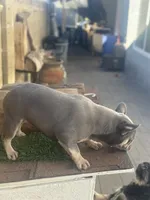 processed/a71dcb61-424a-4179-8c20-6027391ff07e/listing/699c15c0-d858-4e65-a067-42bf6a866052/39af662c-eec1-436b-88d1-4cd6a3dab2bf