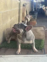 processed/a71dcb61-424a-4179-8c20-6027391ff07e/listing/699c15c0-d858-4e65-a067-42bf6a866052/5acd11d2-f6c3-40fb-8b88-34b74196ac22