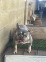 processed/a71dcb61-424a-4179-8c20-6027391ff07e/listing/699c15c0-d858-4e65-a067-42bf6a866052/a3288e8c-d9f5-47db-b01e-43d24f5cb417