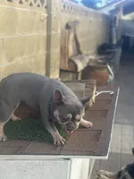 processed/a71dcb61-424a-4179-8c20-6027391ff07e/listing/699c15c0-d858-4e65-a067-42bf6a866052/d716faca-4433-471b-a18f-f2970cf66241