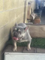 processed/a71dcb61-424a-4179-8c20-6027391ff07e/listing/699c15c0-d858-4e65-a067-42bf6a866052/f29ef4a7-b435-435e-9e82-13ea6a738c98