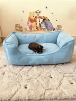 Pooh, a male Shih Tzu for sale in Las Vegas, NV – 4 of 4
