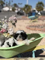 processed/a71dcb61-424a-4179-8c20-6027391ff07e/listing/7b2135a0-7d78-4979-ade4-b4cca8b0fa9e/07b2d99b-c09d-46c3-ae3a-f5f2d28e14bf