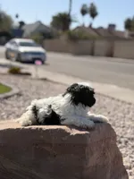 processed/a71dcb61-424a-4179-8c20-6027391ff07e/listing/7b2135a0-7d78-4979-ade4-b4cca8b0fa9e/0d93ac5d-f192-4313-83ce-1ac4b27a1e99