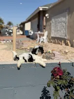 processed/a71dcb61-424a-4179-8c20-6027391ff07e/listing/7b2135a0-7d78-4979-ade4-b4cca8b0fa9e/15789543-4fa8-405d-afff-f98c60c1737a