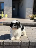 processed/a71dcb61-424a-4179-8c20-6027391ff07e/listing/7b2135a0-7d78-4979-ade4-b4cca8b0fa9e/3169fddb-421f-4198-9063-19f2b7bdbcec