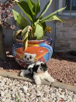 processed/a71dcb61-424a-4179-8c20-6027391ff07e/listing/7b2135a0-7d78-4979-ade4-b4cca8b0fa9e/b98f280a-ad6d-43e0-861e-3c801a12d608