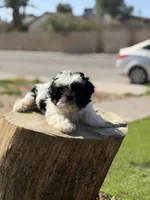 processed/a71dcb61-424a-4179-8c20-6027391ff07e/listing/7b2135a0-7d78-4979-ade4-b4cca8b0fa9e/d7f3549f-a1af-45df-9510-cbb7abcecd78