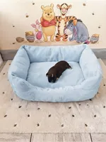 Pooh, a male Shih Tzu for sale in Las Vegas, NV – 3 of 4
