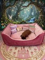 Nala, a female Shih Tzu for sale in Las Vegas, NV – 2 of 4