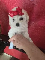 processed/a71e4e40-2967-4cb6-956a-d2f6b75bab37/listing/2b857c0b-ec9d-415e-b5cb-9184a5e89653/3bf8d317-d4ab-4448-8ebe-a3f424d239b4