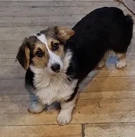 processed/a720b3bd-cef4-452f-9efa-b1c2364b0b2c/listing/443a61b9-46d5-413e-9b50-a5935c42cd6f/f0ad3403-a9eb-4a6c-b6ad-dfb33a41fe4a