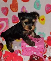 processed/a72875d0-7fed-41d3-9b9a-2e1a3875593f/listing/52db1fbb-0bf5-4d2c-8f08-236ddaeeafc7/3dc47882-1d6b-46b6-91c6-24d837a1a6be