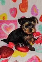 processed/a72875d0-7fed-41d3-9b9a-2e1a3875593f/listing/52db1fbb-0bf5-4d2c-8f08-236ddaeeafc7/acfecf9b-8cfa-4f22-8be1-c977730a64ef