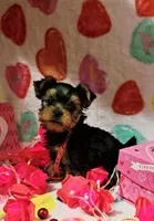 processed/a72875d0-7fed-41d3-9b9a-2e1a3875593f/listing/52db1fbb-0bf5-4d2c-8f08-236ddaeeafc7/cdcfcdb8-5f29-4adc-84e0-46a18955f130