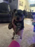 processed/a72875d0-7fed-41d3-9b9a-2e1a3875593f/listing/d894dd73-c7cf-417b-bcc4-858e329ffd67/be342947-1c3a-4018-8cad-c7611b29c1cc