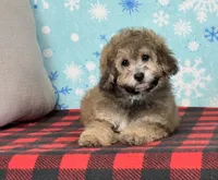 processed/a7359d70-41cc-4889-a8e2-96dd4e8ea138/listing/2a46b16a-154f-477f-8a13-7fa425a73f5f/0676d9a3-7f68-4ac6-a4e7-7b2bbc4d44e0