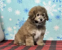 processed/a7359d70-41cc-4889-a8e2-96dd4e8ea138/listing/2a46b16a-154f-477f-8a13-7fa425a73f5f/114bdbc9-1c89-4034-b0e8-b130b76202c4