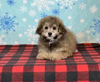 processed/a7359d70-41cc-4889-a8e2-96dd4e8ea138/listing/2a46b16a-154f-477f-8a13-7fa425a73f5f/1fde8a09-a893-4790-8095-7897df77b353