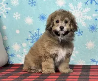 processed/a7359d70-41cc-4889-a8e2-96dd4e8ea138/listing/2a46b16a-154f-477f-8a13-7fa425a73f5f/280c549f-a28b-4bfb-821d-6e79e35c2d8c