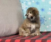 processed/a7359d70-41cc-4889-a8e2-96dd4e8ea138/listing/2a46b16a-154f-477f-8a13-7fa425a73f5f/35b1694f-305e-4f79-ae85-85de19c0d555