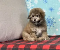 processed/a7359d70-41cc-4889-a8e2-96dd4e8ea138/listing/2a46b16a-154f-477f-8a13-7fa425a73f5f/8f798266-bc0c-4bd9-b8a3-b91319fa86d9