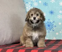 processed/a7359d70-41cc-4889-a8e2-96dd4e8ea138/listing/2a46b16a-154f-477f-8a13-7fa425a73f5f/b3c14298-a771-49f0-9661-92e7714bfb1c