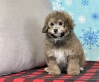 processed/a7359d70-41cc-4889-a8e2-96dd4e8ea138/listing/2a46b16a-154f-477f-8a13-7fa425a73f5f/e7378c55-1f65-4951-9877-12dc1520c9d9