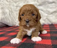 processed/a7359d70-41cc-4889-a8e2-96dd4e8ea138/listing/40a0b3fb-3169-47e5-9c1e-a37fff7fc6df/174fd5e7-6468-40be-8676-311cc2beba6c