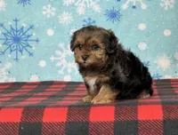 processed/a7359d70-41cc-4889-a8e2-96dd4e8ea138/listing/47a273de-f2f2-464a-9a7c-a3df408c21d4/461a0b6e-bac8-44ca-a9d9-d8059240291b