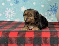 processed/a7359d70-41cc-4889-a8e2-96dd4e8ea138/listing/47a273de-f2f2-464a-9a7c-a3df408c21d4/5ec74e26-df16-438a-b912-996910644e8a