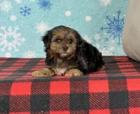 processed/a7359d70-41cc-4889-a8e2-96dd4e8ea138/listing/47a273de-f2f2-464a-9a7c-a3df408c21d4/d2c410b7-0a6e-450d-a904-8bfa1f7de417