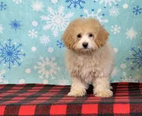 processed/a7359d70-41cc-4889-a8e2-96dd4e8ea138/listing/52fd7bc3-0c28-4312-8730-662c6fb89d24/21f875c2-6fe4-48b2-b298-030f977a8732