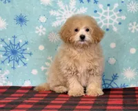 processed/a7359d70-41cc-4889-a8e2-96dd4e8ea138/listing/52fd7bc3-0c28-4312-8730-662c6fb89d24/4101ab6f-7fa7-4336-8d7d-d6e7c99b9874