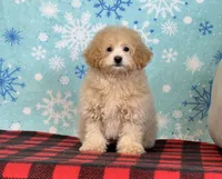 processed/a7359d70-41cc-4889-a8e2-96dd4e8ea138/listing/52fd7bc3-0c28-4312-8730-662c6fb89d24/4209f9c3-44ec-414e-85b4-833e8984dc99