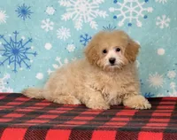 processed/a7359d70-41cc-4889-a8e2-96dd4e8ea138/listing/52fd7bc3-0c28-4312-8730-662c6fb89d24/750c54aa-0af9-405f-be54-24baead9f50e