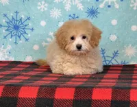 processed/a7359d70-41cc-4889-a8e2-96dd4e8ea138/listing/52fd7bc3-0c28-4312-8730-662c6fb89d24/a2c07e31-dcf9-4a77-b2a5-207a397e6762