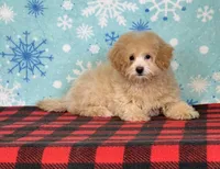 processed/a7359d70-41cc-4889-a8e2-96dd4e8ea138/listing/52fd7bc3-0c28-4312-8730-662c6fb89d24/b49a711b-50ce-48ef-b195-862488aa429f