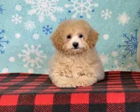 processed/a7359d70-41cc-4889-a8e2-96dd4e8ea138/listing/52fd7bc3-0c28-4312-8730-662c6fb89d24/bca56222-0734-4f61-8676-83ef9e147f7b