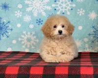 processed/a7359d70-41cc-4889-a8e2-96dd4e8ea138/listing/52fd7bc3-0c28-4312-8730-662c6fb89d24/c79cc2a5-d250-4e57-b509-fabe147f5a49