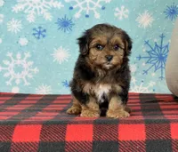 processed/a7359d70-41cc-4889-a8e2-96dd4e8ea138/listing/849bff44-f3f0-4dcf-b23e-8869f787e461/1141fbca-558a-4966-a0a4-257658e17759