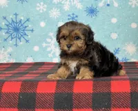 processed/a7359d70-41cc-4889-a8e2-96dd4e8ea138/listing/849bff44-f3f0-4dcf-b23e-8869f787e461/efe60d95-05c8-4354-8c1e-5a0b3f68f058