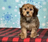 processed/a7359d70-41cc-4889-a8e2-96dd4e8ea138/listing/b3dbce3b-8026-4178-a9a1-41a81058e670/68b96d7e-7594-402f-9eea-b8c7583206c9