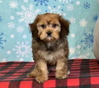 processed/a7359d70-41cc-4889-a8e2-96dd4e8ea138/listing/b3dbce3b-8026-4178-a9a1-41a81058e670/6df61588-e149-41aa-8e45-14a2c07292a8