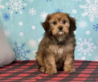 processed/a7359d70-41cc-4889-a8e2-96dd4e8ea138/listing/b3dbce3b-8026-4178-a9a1-41a81058e670/6f1e7aba-5bd5-4237-a3b9-243d33229858