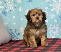 processed/a7359d70-41cc-4889-a8e2-96dd4e8ea138/listing/b3dbce3b-8026-4178-a9a1-41a81058e670/71d81c4e-91fa-4a8f-8144-31dccabf4f52