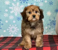 processed/a7359d70-41cc-4889-a8e2-96dd4e8ea138/listing/b3dbce3b-8026-4178-a9a1-41a81058e670/9dff53d3-6296-49a1-aa91-8d7b69a0fe8c