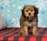 processed/a7359d70-41cc-4889-a8e2-96dd4e8ea138/listing/b3dbce3b-8026-4178-a9a1-41a81058e670/c9e53cb1-262b-45d4-9bfa-5177a66cf53c